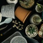 Terrariums Home Depot: 7 Proven Tips to Avoid Costly Mistakes