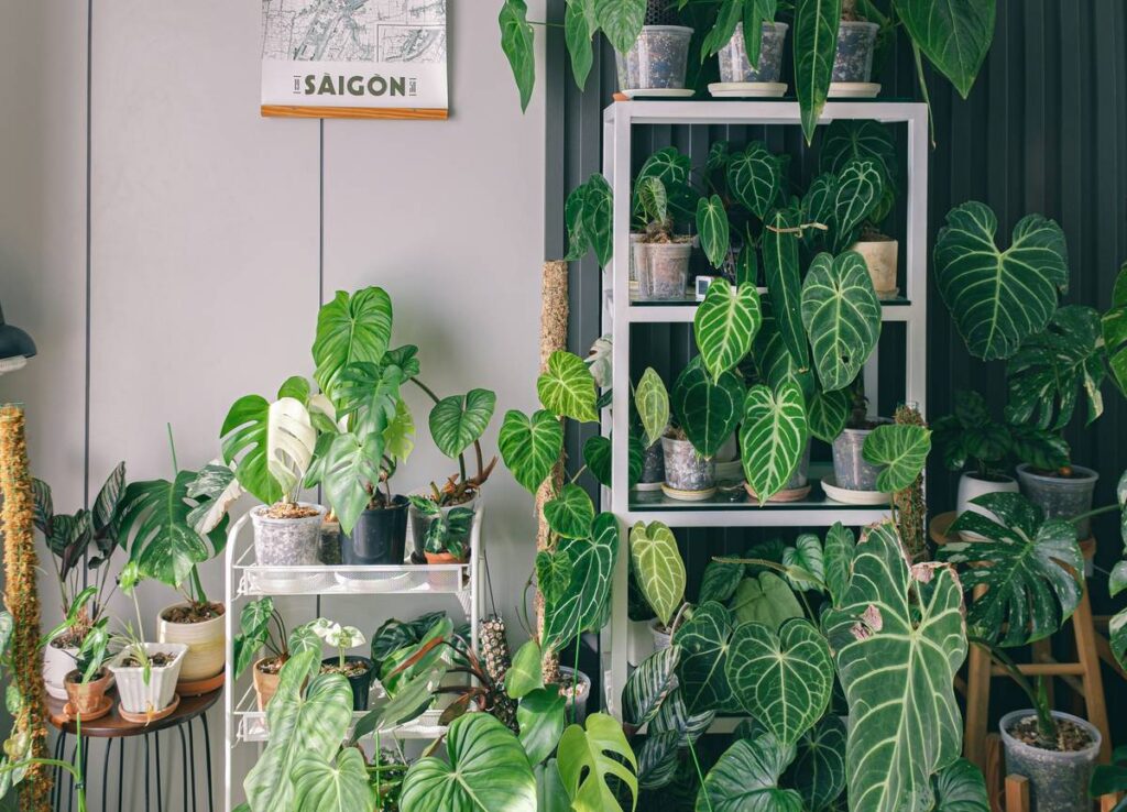 Vertical Terrarium Nearby: 7 Proven Tips to Avoid Costly Mistakes