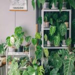 Vertical Terrarium Nearby: 7 Proven Tips to Avoid Costly Mistakes